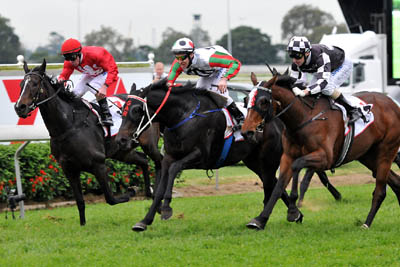 Shootoff_Qld_Derby